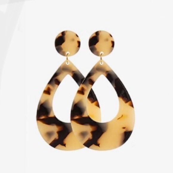 Acrylic Statement Earrings - Picture 1 of 2